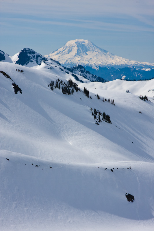 Mount Adams Above The Nisqually Glacier